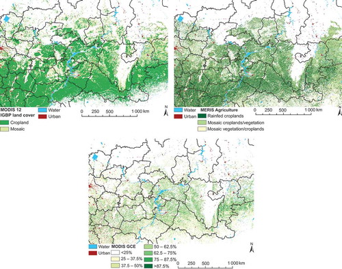 Figure 6. (a) MOD12 IGBP land cover map highlighting croplands only. (b) MERIS indicating three cropland classes. (c) Cropland probability according to the global cropland extent map by Pittman et al. (Citation2010).