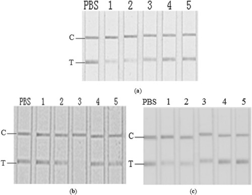 Figure 4. GICA results for simulated total metal ions in PBS and their gradient solutions (a, from left: PBS; 1–5: diluted with PBS to 0, 10, 50, 100 folds), single salt in PBS (b, from left: PBS; 1–5: K+, Na+, Mg2+, Al3+, Ca2+), and gradient magnesium in PBS (c, from left: PBS; 1–5: 1 g/kg, 0.5 g/kg, 0.1 g/kg, 0.05 g/kg, 0.01 g/kg).