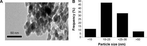 Figure 1 Characterization of Al2O3NPs.Notes: (A) TEM image; (B) size distribution (percentage, %) of Al2O3NPs, as generated by TEM imaging.Abbreviations: Al2O3NPs, alumina nanoparticles; TEM, transmission electron microscopy.