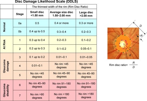 Figure 1 Normogram of the disc damage likelihood scale.