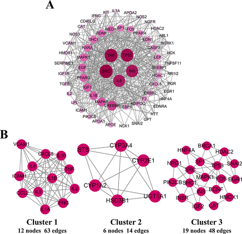 Figure 4 Network construction. (A) The hub targets network, which was screened by the median, in which node size reflects its degree, (B) The top three clusters analyzed by MCODE network.