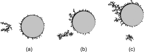 FIG. 8 Patterns 2D of deposited particle structures on the nano-microfiber system for three positions of nanofiber: (a) Θ = 0°, (b) Θ = 45°, and (c) Θ = 90°; Re m = 10−4, Kn = 1.0, Pe = 2.0.