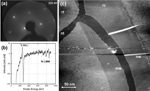 Figure 1 A typical LEED pattern (a) and an Auger electron spectrum of a 0.3% C-doped Ni(111) substrate, which was annealed for surface precipitation. (c) An STM height image of various types of graphene-based nanostructures measured with a tungsten tip at room temperature in UHV (Vs=1.5 V, It=58 pA). Symbols in (c) mean rt: rough terrace, nt: nanotrench, mw: Moiré pattern, nw: nanowire and rc: reconstruction.