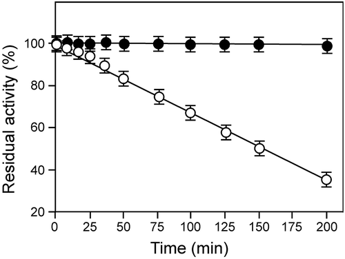 Figure 7. Thermostability of rBsu-Lac. The protein was incubated at 60 or 80 °C for various intervals of time and the residual activity was examined in 50 mM sodium phosphate buffer (pH 7.0) at 55 °C. Values are the averages from three measurements, and bars indicate the SD values.