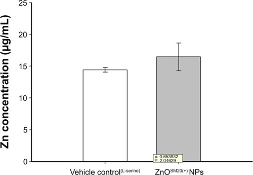 Figure 1 The total Zn levels measured with ICP-AES.Notes: To investigate the placenta transfer of ZnOSM20(+) NPs in vivo, four extra female rats were used in the control (nontreatment control group; n=2) and 400-mg/kg/day (ZnOSM20(+) NPs; n=2) groups. Dosing occurred on gestational day 5–19 in the same manner as for main study animals.Abbreviations: ICP-AES, inductive coupled plasma atomic emission spectrometry; ZnOSM20(+) NPs, 20-nm positively charged ZnO nanoparticles.
