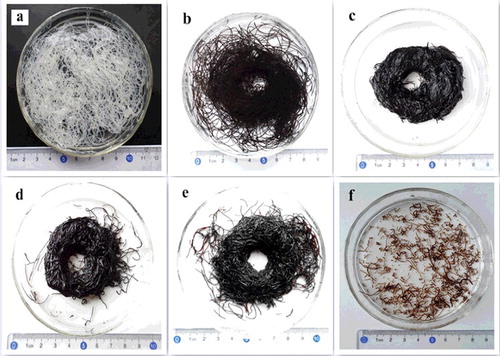 Figure 1. (Colour online). Photographs of fibres with different weight ratios of GO and sodium cellulose xanghate: (a) pure cellulose, (b) 1:1, (c) 2:1, (d) 3:1, (e) 4:1, and (f) 5:1.