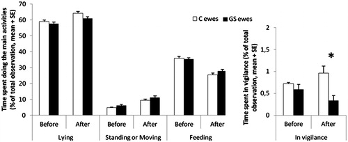 Figure 1. Percentage of total observations spent in central activities during the time budget (24 h) before and after the seven-week treatment during pregnancy. Control ewes (C, N = 20) and gestationally stressed ewes (GS, N = 20). Statistical MIXED procedure *p < 0.05.
