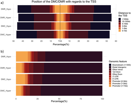 Figure 5. Distribution of the genetic features associated with each DMC/DMR depending on their status. Image a) depicts the distance of the mark to the transcription start site. b) represents the genetic feature with which the mark is associated.