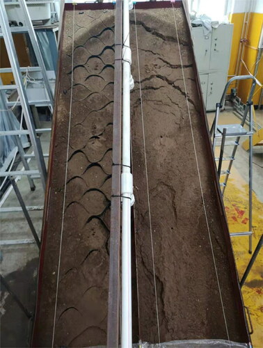 Figure 6. Final appearance of the slope at the cease of rainfall. The left slope on the picture was reinforced using small geocell without wheat straw; the right model was the bare soil slope.