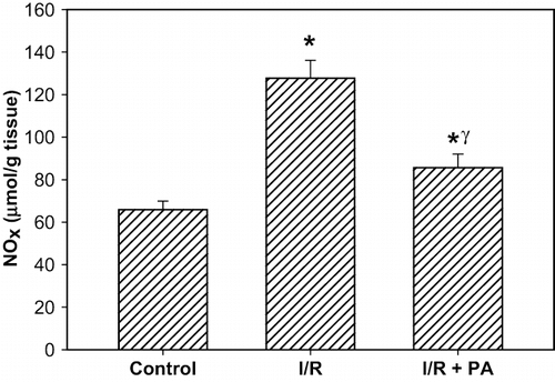 Figure 4. Effect of renal ischemia reperfusion (I/R) and proanthocyanidin (PA) on tissue on tissue nitrite/nitrate (NOx) level. All values expressed as mean SEM. *statistically significant from control (p < 0.05); γstatistically significant from I/R group (p < 0.05).