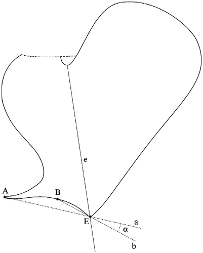 Figure 2 Male pleopod 1 exopod: indentation depth of the outer distal margin. e, central axis (sensu Araujo and Lopes Citation2003); E, distal point of central axis; A, distal point of the dentiform protrusion; B, point of maximum depth of the indentation measured from line (a); a, line between A and E; b, line between B and E; α, angle defining the depth of the indentation.