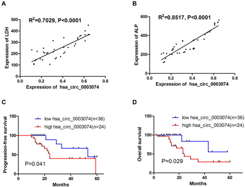 Figure 5 Analysis of hsa_circ_0003074 in the prognosis of osteosarcoma patients. (A and B) show linear regression analysis of hsa_circ_0003074 with LDH and ALP. (C and D) show effects of hsa_circ_0003074 expression levels on the overall survival and progression-free survival of osteosarcoma patients (n=60), respectively.