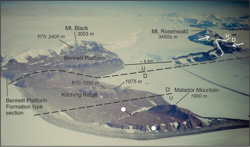 Figure 5. Aerial photograph, view to the west, to illustrate the proposed faults at Mount Rosenwald and in the Mount Black-Matador Mountain region. White arrows point to the estimated locations of the contact between the lower and middle members of the Fremouw Formation at Mount Rosenwald, indicating ∼750 m of offset. The Permian/Triassic boundary is indicated by P/Tr. Approximate locations (white circles) of Sirius Group deposits (Bennett Platform Formation) southeast of Matador Mountain from Hambrey et al. (Citation2003); it is possible that Sirius strata are widespread beneath the veneer of surficial debris, rather than banked against bedrock. The outcrops behind the white circles are 50–100 m high, based on REMA data. Given this is an oblique photograph, the horizontal scale applies only at its location on the figure. The geology is illustrated on Figure S4. Elevations in italics estimated from REMA data; others from USGS Liv Glacier topographic sheet. Photograph enlarged from PGC/USGS photo TMA 2189 R33 030.