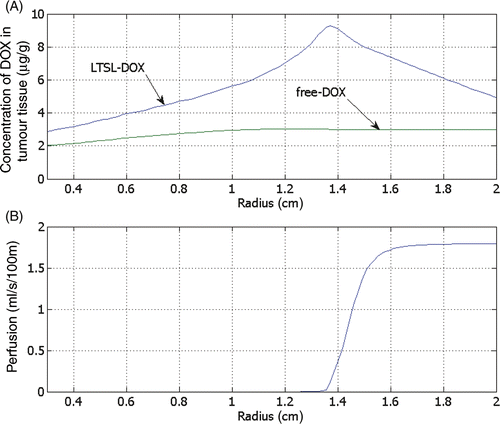 Figure 7. Concentration of DOX in the tumour tissue compartment for the administration of free-DOX and LTSL-DOX versus the radius (see Figure 6 for location), 30 min after start of ablation (A). DOX concentration for LTSL-DOX varies along the radius, whereas for free-DOX there is little variation. The maximum concentration of DOX in the LTSL-DOX case was reached just outside of the ablation zone in a region of considerably reduced perfusion (B).