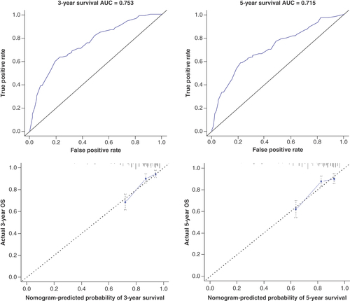 Figure 2. Validation of the proposed nomogram.Prediction model using the area under the curve for (A) 3-year and (B) 5-year cancer-specific survival in early-stage nasopharyngeal carcinoma patients. (C & D) Calibration curves comparing actual and nomogram-predicted cancer-specific survival at (C) 3 years and (D) 5 years.AUC: Area under the curve; OS: Overall survival.
