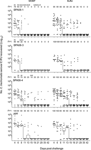 Figure 4. Vaginal culture results in samples taken at 4, 6, 8, 11, 13, 15, 18, 21, 28, 35 and 42 days after vaginal challenge with C. trachomatis Ser E