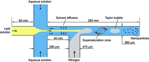 Figure 2 The size parameters of the microchannel device and the schematic illustration of NPs formation in the microchannel system.Abbreviation: NPs, nanoparticles.