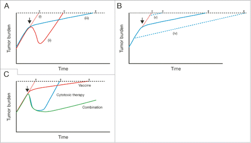 Figure 2. Model reconciling the lack of short-term effects of immunotherapy with the long-term OS benefit versus placebo. (A) Comparison of disease kinetics with (i) no treatment, (ii) traditional cytotoxic therapy, or (iii) immunotherapy. (B) Initiation of immunotherapy (iv) early in the disease course versus (v) in patients with late-stage disease. (C) Combinations of cytotoxic therapy with immunotherapies could be potentially useful future treatment options, combining rapid tumor cell death with a long-term benefit related to the induction of immune responses. The arrows indicates the initiation of treatment, the crosses indicate cancer-related death. From Schlom J. J Natl Cancer Inst 2012;104(8):599-613,17 by permission of Oxford University Press.