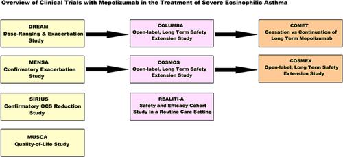 Figure 3 Overview of Clinical Trials with Mepolizumab in the Treatment of Severe Eosinophilic Asthma.Abbreviation: OCS, oral corticosteroid.