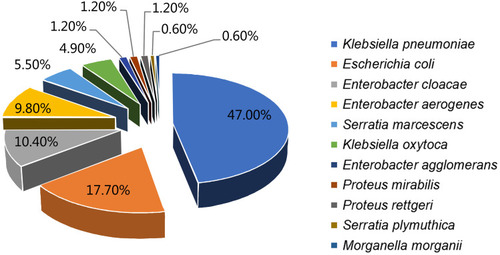 Figure 1 Species found in Enterobacteriaceae related meningitis/encephalitis during 2014–2019.