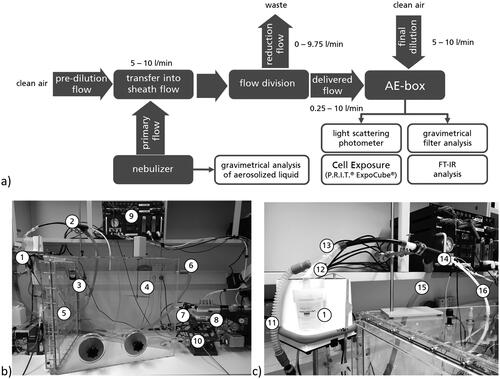Figure 2. Concept (a) and realization of aerosol generation and cell exposure (b,c). (1) Nebulizer and cartridge, (2) dilution system, (3) temperature and humidity control inside AE-Box, (4) ventilator, (5) final dilution flow, (6) box waste flow, (7) custom light scattering photometer, (8) P.R.I.T® ExpoCube®, (9) exposure control (flows, temperature), (10) filter and FT-IR sampling (11) sheath air flow, (12) primary aerosol delivery, (13) pre-dilution, (14) division of aerosol flow, (15) generation waste flow, (16) delivered flow into AE-Box.