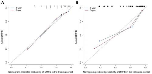 Figure 2 Calibration curves of the nomogram to predict 3- and 5-year DMFS in the training cohort (A) and validation cohort (B).