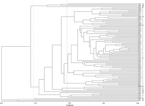Fig. 2 Unweighted pair-group method with arithmetic means (UPGMA) clustering dendrogram of Botrytis cinerea isolates using Neighbour-Joining similarity estimates. At the threshold of 0.65, all isolates were divided into 13 groups (groups A to M); groups A, D, E, F and J contained 2, 18, 61, 4 and 5 isolates, respectively, while each of the other groups had only one isolate. Furthermore, all isolates in group D were from Liaoning and Jilin provinces of China, and most of the isolates (except LHRG73) in group E were from Heilongjiang and Jilin provinces of China; all isolates in group F and group J were from Jilin province of China.
