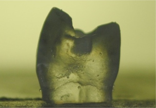 Figure 1 Initial image of photoelastic replica without stress.