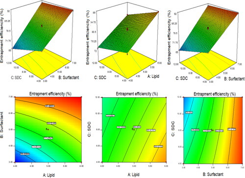 Figure 2. 3D and contour plots showing the effect of independent variables on entrapment efficiency of QT-BS.