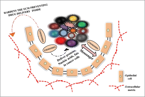 Figure 2. This figure illustrates the role of exosomes in cancer progression, malignancy and drug-resistance. Exosomes are secreted by normal and cancer cells. These exosomes act as a mediator of communication between cancer and normal cells acting as a messenger. They are also involved in transport of proteins, nucleic acids and lipids to cancer cells. Exosomes released by cancer cells toughen the extracellular matrix acting as a barrier to entry of drugs inside the cancer cells leading to drug resistance.