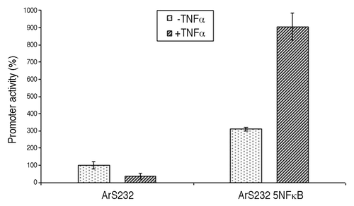 Figure 3. Luciferase activity of promoter constructs controlled by NFκB. Shown are the in vitro activity of ArS232, and a derived construct ArS2325NFkB that contains five canonical NFκB binding sites (GGGGACTTTCC) in tandem constellation in HEK293 cells. In-vitro activity, shown in relative light units (RLU), of the sequence ArS2325NFkB increases 2.9 fold upon induction with 20 ng/ml TNFalpha, in contrast to sequence ArS232 which shows little change. All relative luciferase activities were normalized to Renilla luciferase activity.