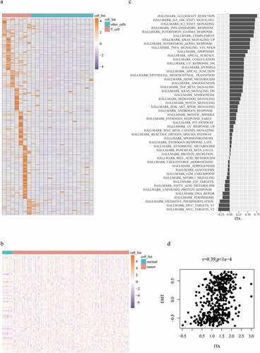 Figure 1. Expression profiles of 159 T-cell-labeled genes within 22 different immune cell subtypes (a); expression profiles of 153 T-cell-labeled genes across colon cancer cohort (b); ITA correlation comparison with 50 pathways (c); plot illustrating the correlation between EMT and ITA (d)