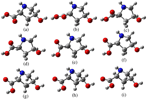 Figure 3. Various conformers of CHDP obtained from PES scan along C6-C3-C9-O12 dihedral.