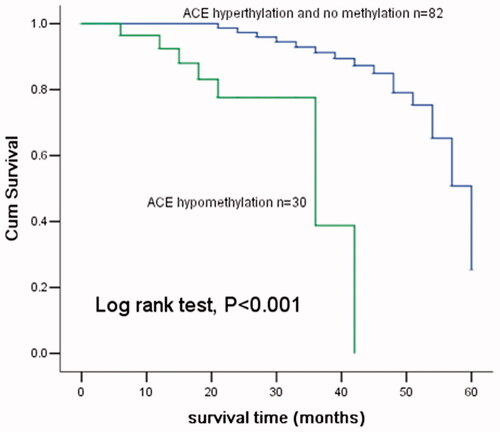 Figure 6. Kaplan–Meier analysis of ACE hypomethylation in patients with CRC. The patients with ACE hypomethylation had a shorter overall survival compared with those with ACE hypermethylation and unmethylation (Log-rank test, p < .001).