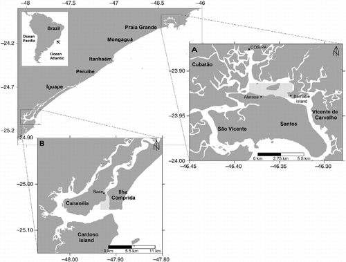 Figure 1 Representation of (A) Santos estuary, (B) the Cananéia-Iguape coastal system, in the coast of SP state, with the locations of fishing areas for individuals of Mugil curema.