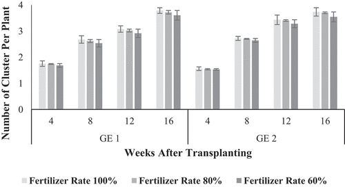 Figure 7. Effects of fertilizer rate on the number of clusters per plant in greenhouse environment 1 (GE 1) and greenhouse environment 2 (GE 2) (error bars = least significant difference (5%).