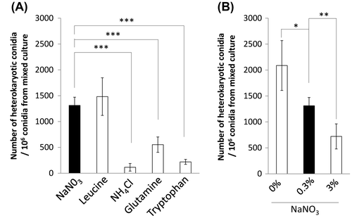 Fig. 3. Effects of nitrogen source on hyphal fusion efficiency.Notes: The assay of hyphal fusion was performed using strains PlD-HR1-c and AblD-HG1-c. The nitrogen source of the CD medium in mixed culture was changed from nitrate to leucine, ammonium, glutamine, and tryptophan (A), and the amount of sodium nitrate was changed from 0.3 to 0 and 3% (B). The CD medium in mixed culture contained uridine/uracil and adenine, which would be assimilated as another nitrogen source. The number of heterokaryotic conidia out of the conidia formed in mixed culture is shown in the graph. Error bars indicate standard deviations. Four independent experiments were performed. *p < 0.05, **p < 0.01, ***p < 0.001, Student’s t test.