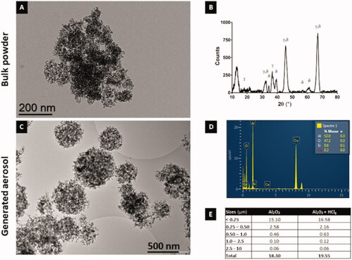 Figure 2. Bulk powder and aerosols alumina nanoparticles physico-chemical characterization. Transmission electron microscopy (TEM) images of Al2O3 NPs in bulk powder (A) and generated aerosol (C) (respective scale bars = 200 nm and 500 nm). Crystalline phases (γ and δ) identification using X-ray diffraction (XRD) on bulk Al2O3 NPs (B). NPs elementary chemical composition (in %) using energy-dispersive X-ray (EDX) spectroscopy on Al2O3 NPs aggregates retrieved in the generated aerosol (D). Table E summarizes Al2O3 NPs representative particles size distribution in the generated aerosols measuring using Sioutas cascade impactor (mg/m3 for each size class in μm).