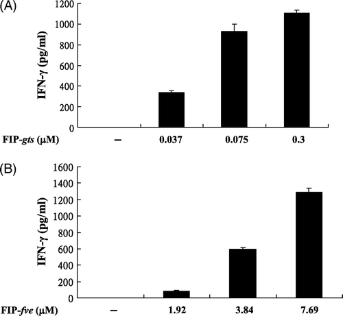 Figure 1.  Effects of FIP-gts and FIP-fve on IFN-γ secretion in PBMCs. (A) Effects of FIP-gts on IFN-γ secretion in hPBMCs. Cultured hPBMCs (2×106 cells/ml, 1 ml/well) were treated with the indicated concentrations of FIP-gts in RPMI 1640 supplemented with 10% FBS for 48 h. Conditioned media were subjected to ELISA to measure amounts of secreted IFN-γ (mean value from three independent experiments). (B) Effects of FIP-fve on IFN-γ secretion in hPBMCs. Cultured peripheral T cells (2×106 cells/ml, 1 ml/well) were treated with the indicated concentrations of FIP-fve in RPMI 1640 supplemented with 10% FBS for 48 h. Conditioned media were subjected to ELISA to measure amounts of secreted IFN-γ (mean value from three independent experiments).