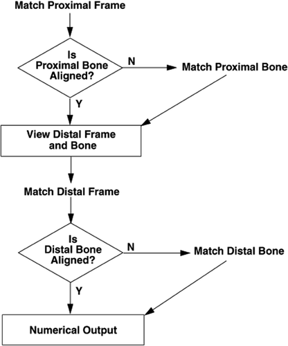 Figure 1. Flow chart showing the procedure followed to obtain the final numerical measurement. The results presented in this paper illustrate the general algorithm (especially in the case of patient 2) and prove that each step can be performed successfully.