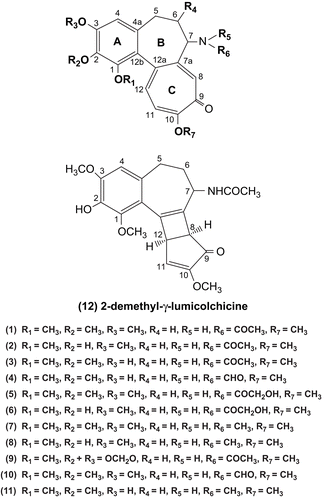 Figure 1.  Structures of the alkaloids found in C. baytopiorum.