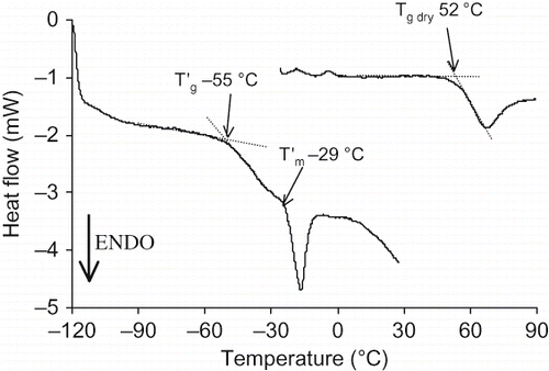 Figure 2 DSC traces of dry and hydrated (aw 0.86) WSM and LMW samples. Arrows show Tg, T′g and T′m.