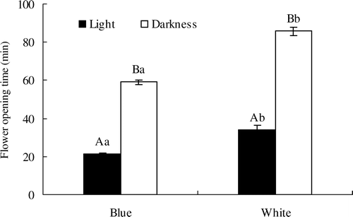 FIGURE 2 The time from closure to being fully open for both blue and white flowers under light (10,000 lux) and darkness conditions (temperature and air humidity are 20 °C and 60%, respectively). Values are given as mean ± 1SE. Significant differences between the blue and white flowers in the same survey are indicated by different capital letters, and significant differences among different surveys for the same flower color are indicated by different lower-case letters (both are at p < 0.05 level). The sample size (N) is 120 for each color in both light and darkness.