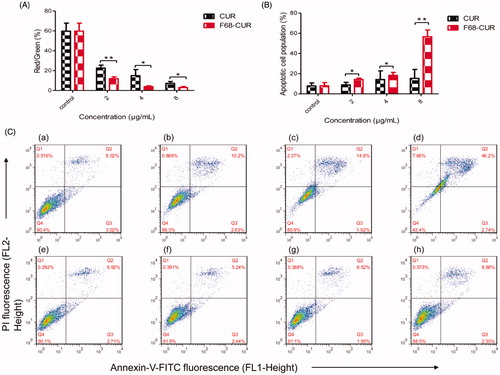 Figure 9. MMP was decreased in MDA-MB-231 cells treated with F68–CUR conjugate micelles or CUR at concentrations ranged from 2 to 8 μg/mL for 24 h (A). Annexin V/PI staining followed by FCM analysis was used to detect early (B) and late (C) apoptosis in MDA-MB-231 cells treated with F68–CUR conjugate micelles or CUR. FCM analysis detected apoptosis in control cells (C (a), (e)) and cells treated with F68–CUR conjugate micelles (C (b), (c), (d)) or free CUR (C (f), (g), (h)) for 24 h at equivalent CUR concentrations of 2, 4, 8 μg/mL.