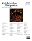 Cover image for Cell Adhesion & Migration, Volume 9, Issue 6, 2015