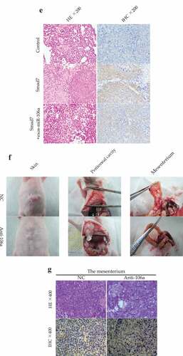 Figure 6. (Continued)