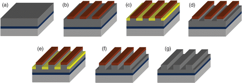 Figure 5. The process flow of Ni nanogratings fabricated by holographic lithography and two SMNEM cycles. (a) Ti/Ni layers deposition on the substrate, (b) holographic lithography, (c–f) two SMNEM cycles, (g) photoresist removing.