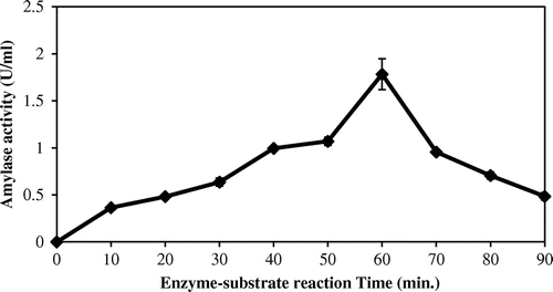 Figure 5. Effects of enzyme-substrate reaction times on amylase activity.