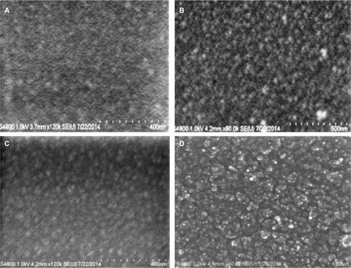 Figure 2 SEM micrographs of PDMS loaded with HNTs 10% (wt./wt.) and coated with different concentrations of PDMS–b–PEO. (A) PDMS–HNT–0% PEO, (B) PDMS–HNT–1% PEO, (C) PDMS–HNT–2.5% PEO, and (D) PDMS–HNT–5% PEO. Similar surface characteristics were observed with the HNT-loaded PDMS versions. Surface roughness appeared to increase with the sequential addition of PDMS–b–PEO.