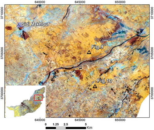 Figure 11. Figures 9 and 10 location represented on the 742 RGB FCC of Landsat 8 OLI image of June 2014. Map projection: UTM – WGS 1984, Zone 32N, EPSG 32632.